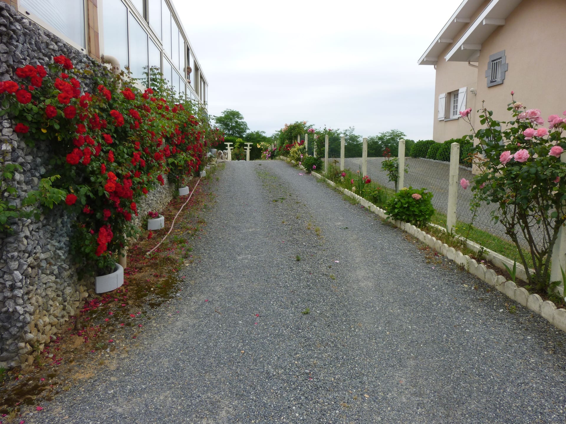 Goudronnage — photo 2